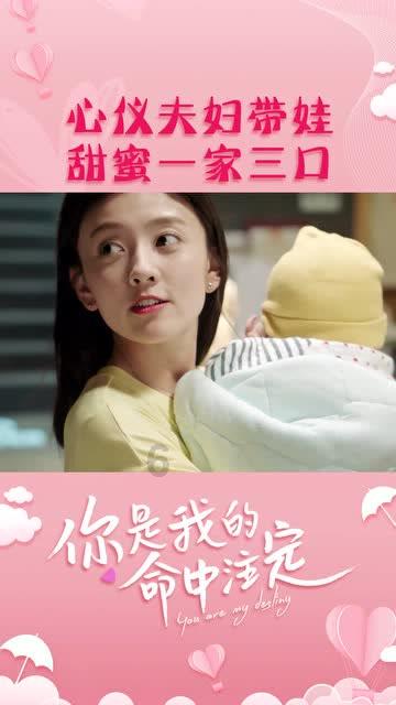 救援可爱的狮子
