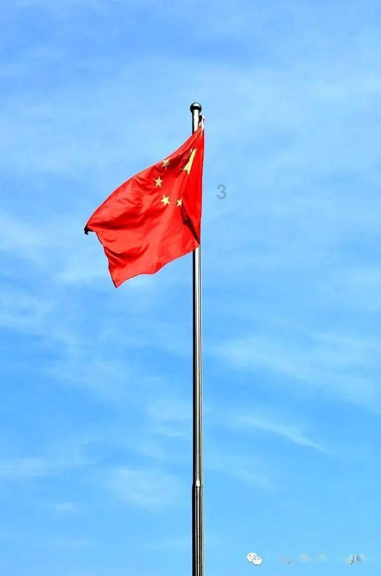 救援大嘴鸟