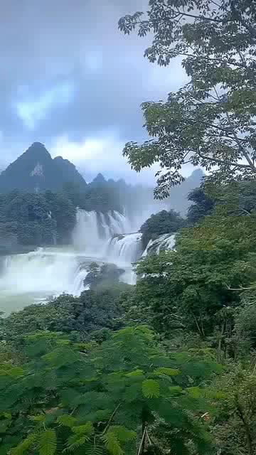 萌萌大眼公主